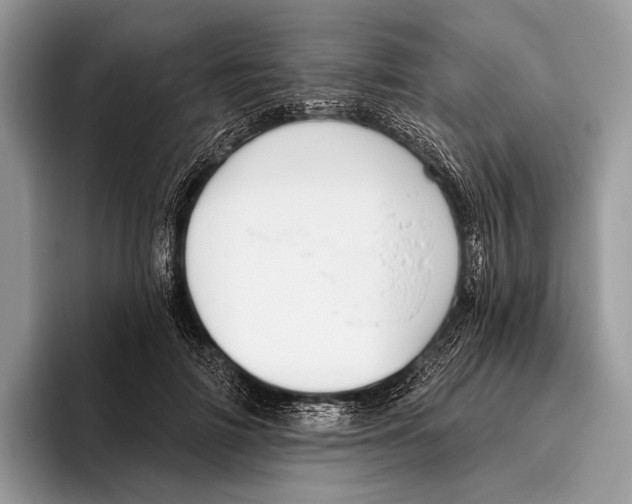 X0000095930698200802011021