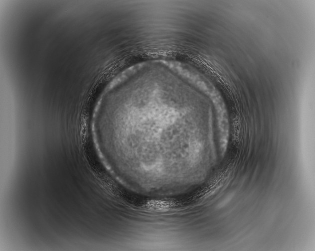 X0000095930699200802011021