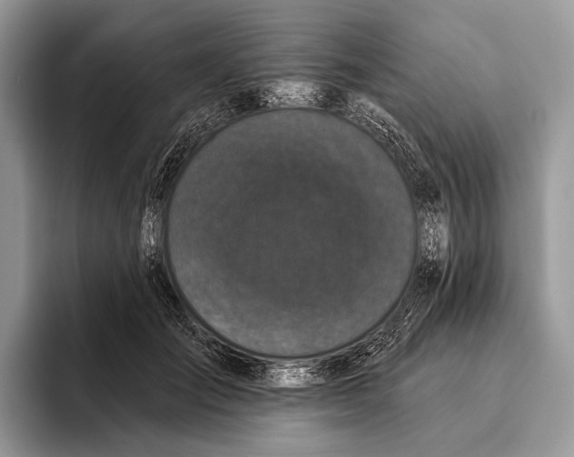 X0000095930701200802011021