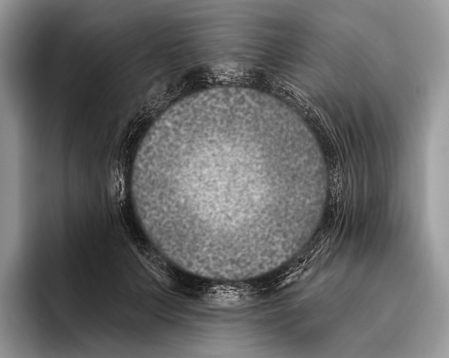 X0000095930703200802011021