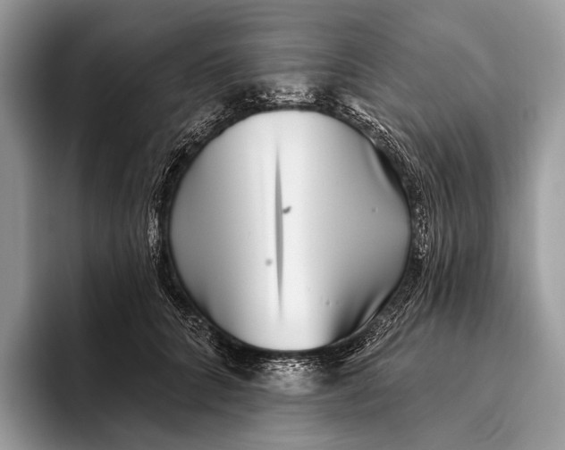 X0000095930704200802011021