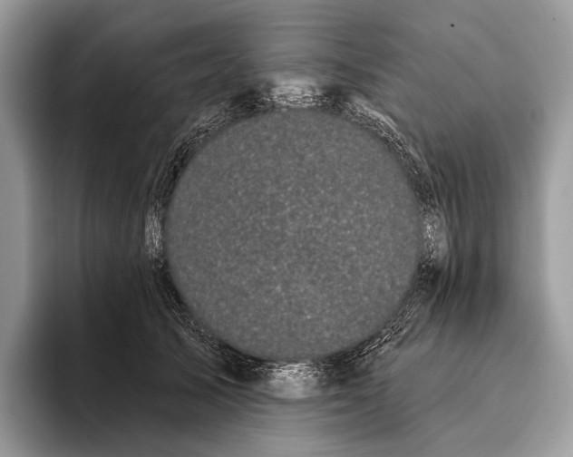 X0000095930705200802011021