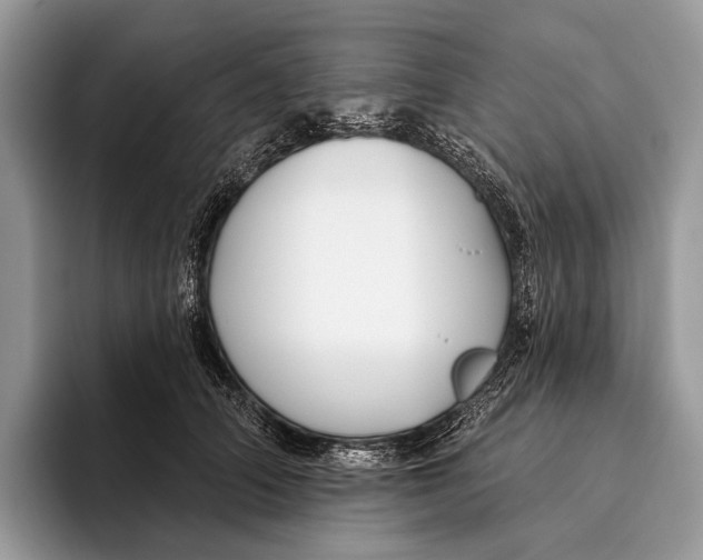 X0000095930706200802011021
