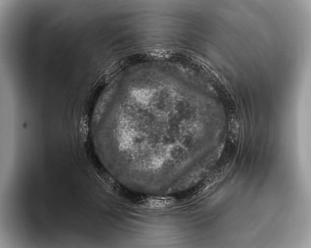 X0000095930707200802011021