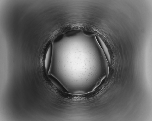 X0000095930708200802011021