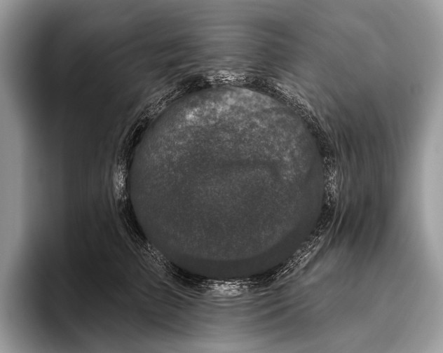 X0000095930709200802011021