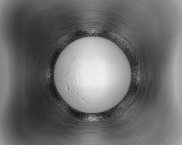 X0000095930710200802011021