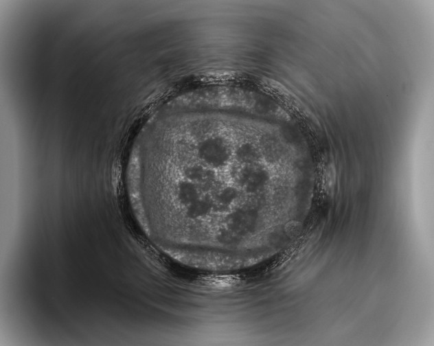 X0000095930711200802011021