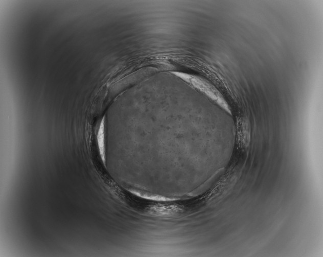 X0000095930712200802011021