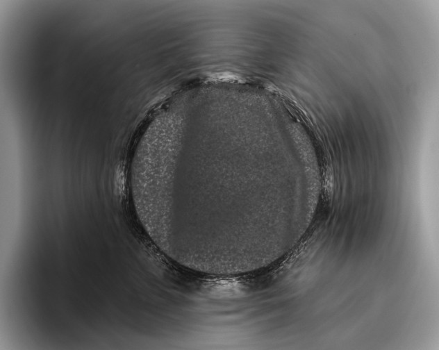 X0000095930715200802011021