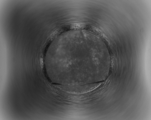 X0000095930716200802011021