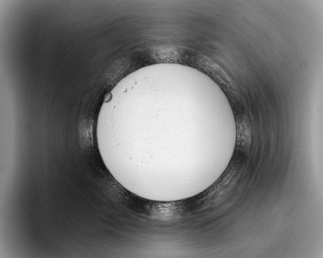 X0000095930717200802011021