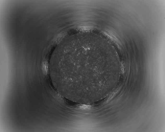X0000095930718200802011021