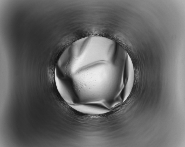X0000095930719200802011021