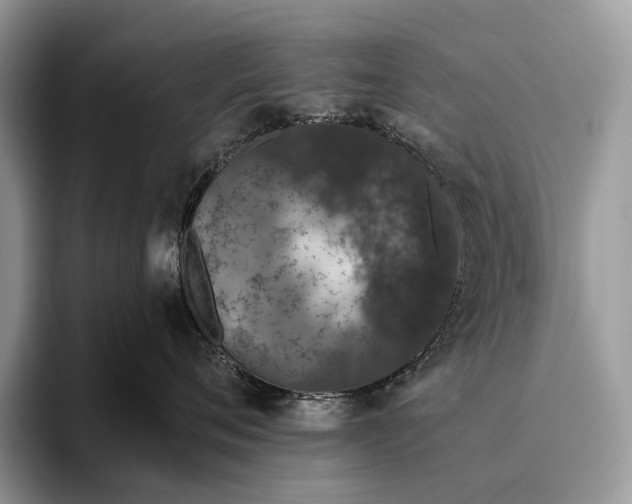 X0000095930720200802011021