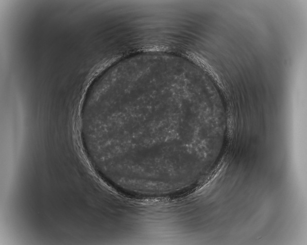 X0000095930721200802011020