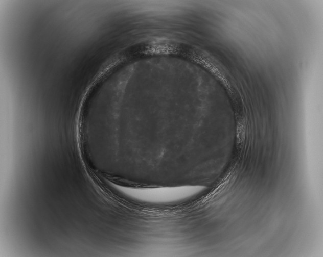X0000095930722200802011020