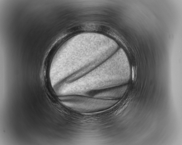 X0000095930723200802011020