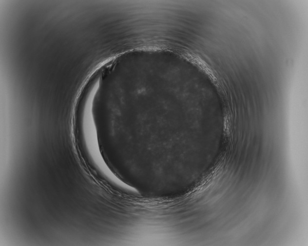 X0000095930724200802011020