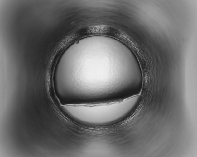 X0000095930725200802011020