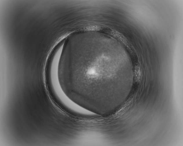 X0000095930726200802011020