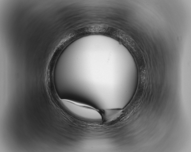 X0000095930727200802011020