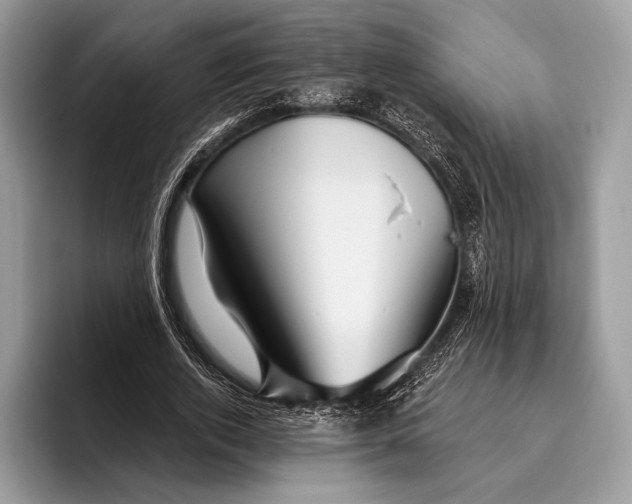X0000095930728200802011020