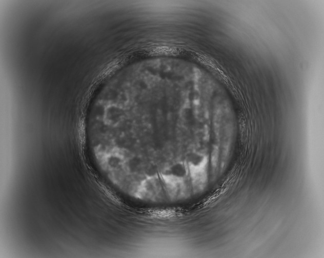 X0000095930729200802011020
