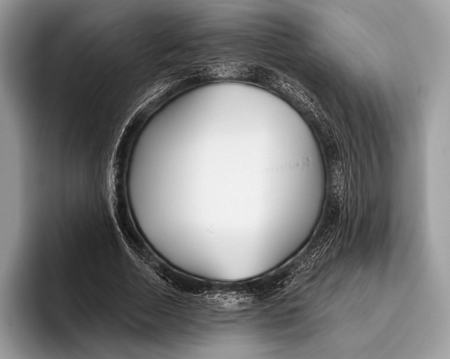 X0000095930730200802011020