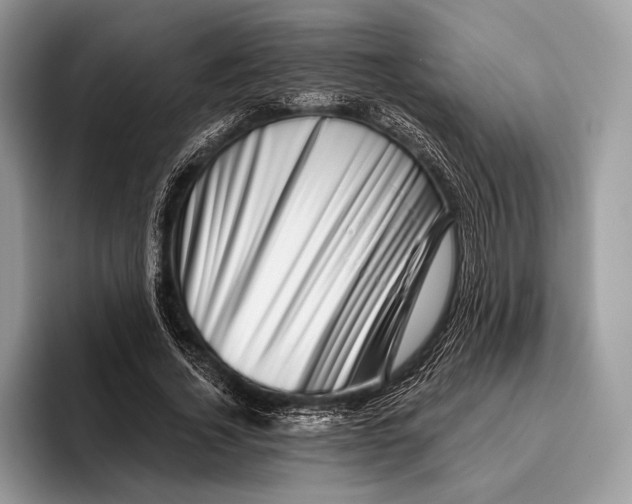 X0000095930732200802011020