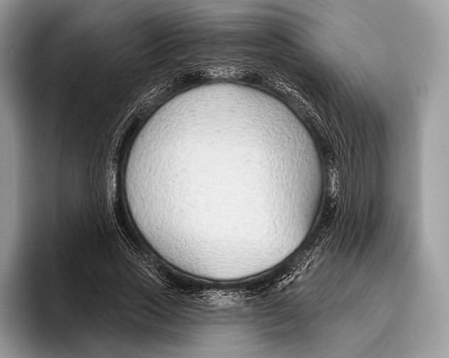 X0000095930733200802011020