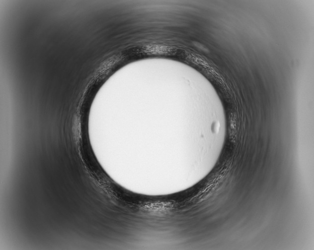 X0000095930734200802011020