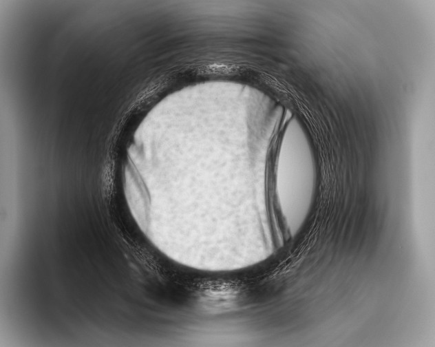 X0000095930735200802011020
