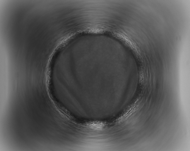 X0000095930736200802011021