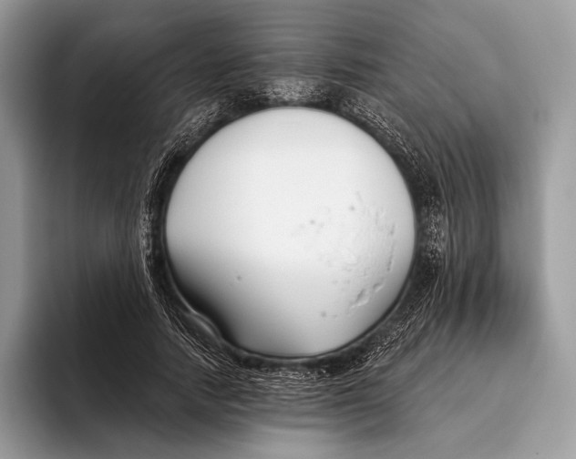X0000095930738200802011021