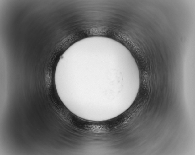 X0000095930741200802011021