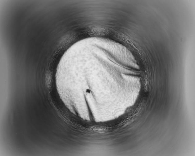 X0000095930742200802011021