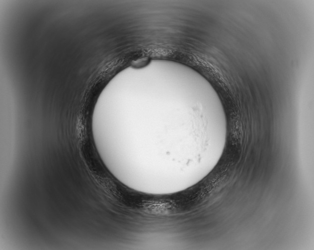 X0000095930743200802011021