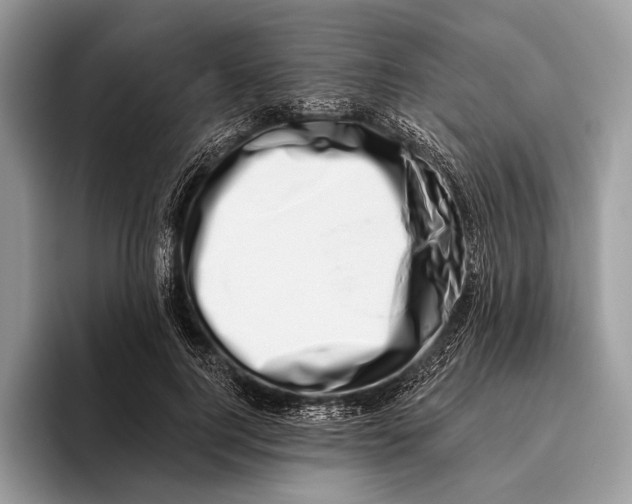 X0000095930744200802011021
