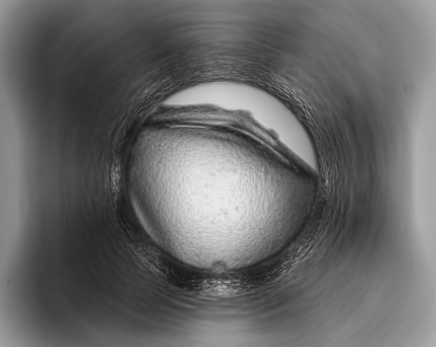 X0000095930745200802011021