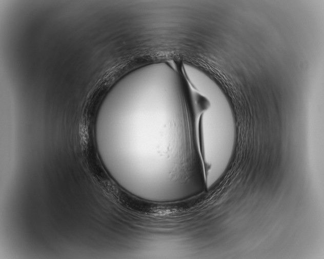 X0000095930746200802011021