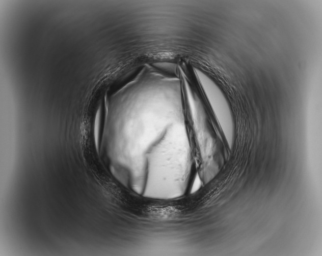 X0000095930747200802011021