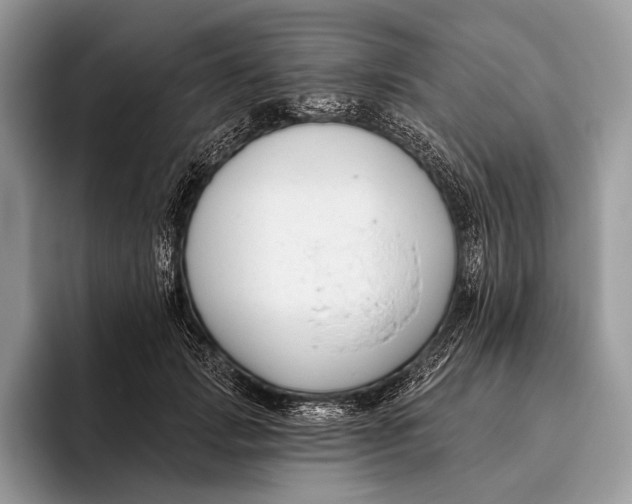 X0000095930749200802011021