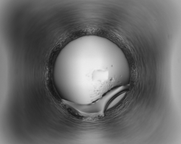 X0000095930750200802011021
