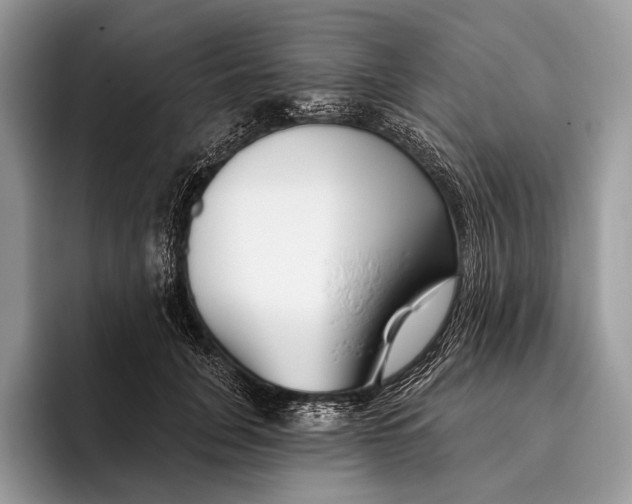 X0000095930751200802011021