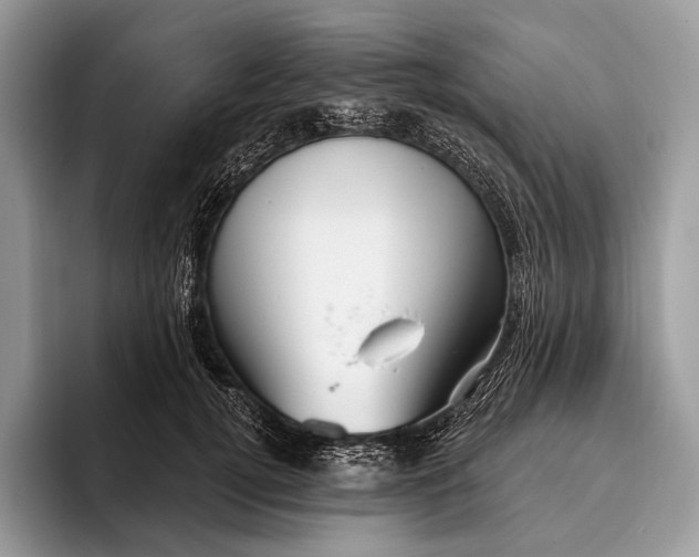 X0000095930752200802011021