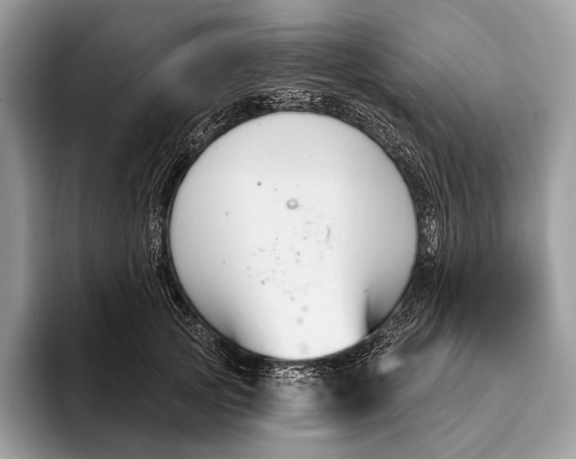 X0000095930753200802011021