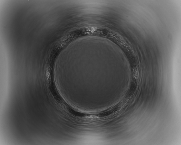 X0000095930754200802011021