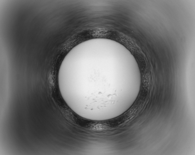 X0000095930755200802011021
