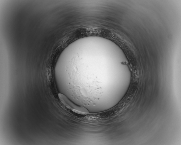 X0000095930756200802011021